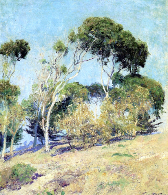  Guy Orlando Rose Windswept Trees, Laguna - Art Print