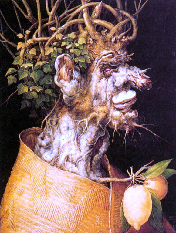  Giuseppe Arcimboldo Winter - Art Print