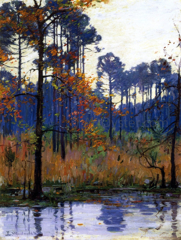  Ellsworth Woodward Winter in Southern Louisiana - Art Print