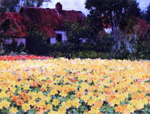  George Hitchcock Yellow Nasturtiums - Art Print