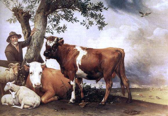  Paulus Potter Young Bull - Art Print