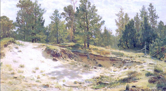  Ivan Ivanovich Shishkin Young Pines on Sandy Steep (etude) - Art Print